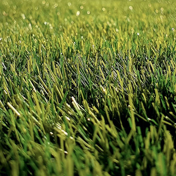 Prato verde e curato